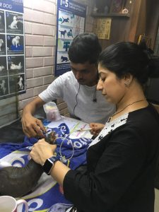 people helping tube feed monitor lizard