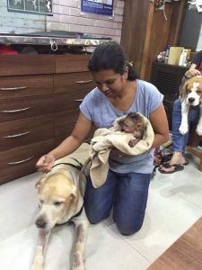 human cradles burnt monkey in blanket next to two dogs