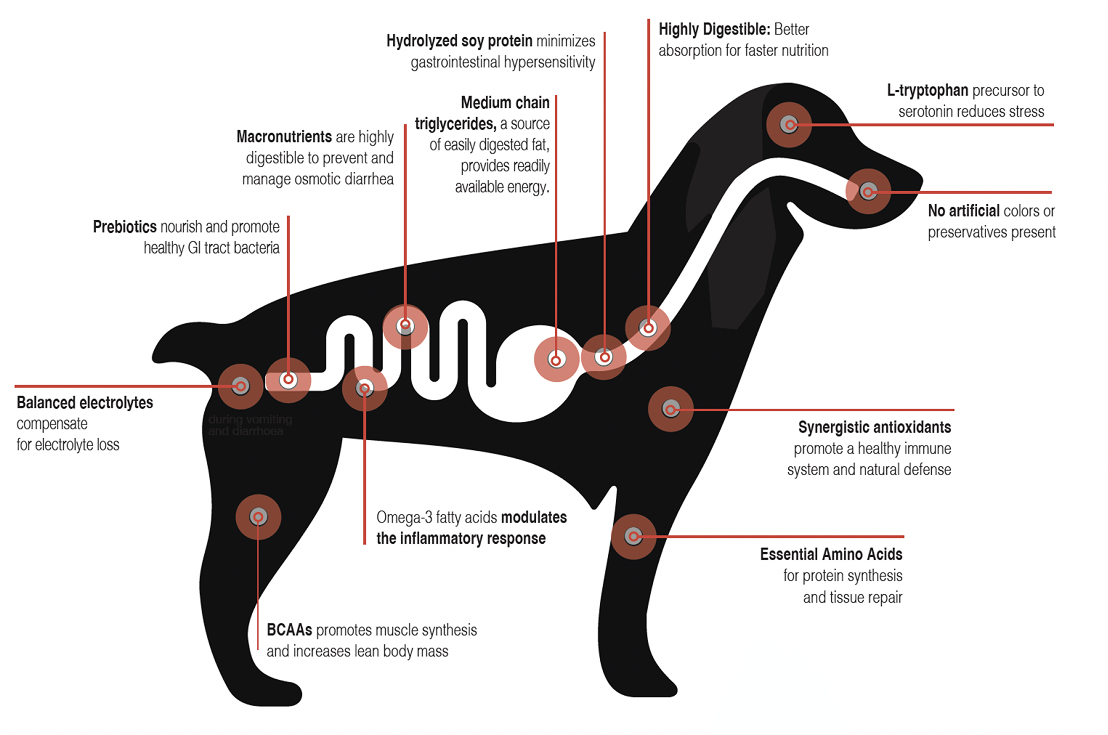 Make every bite count