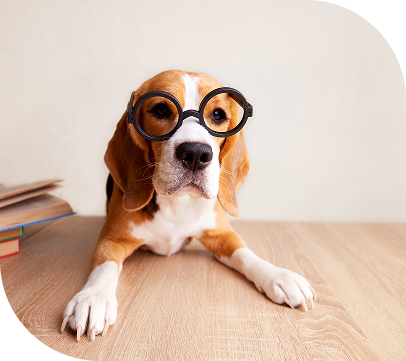 For Veterinary Professionals