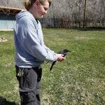 crow in human's hands outside