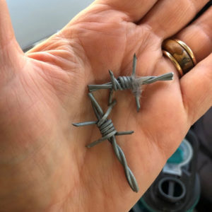 barbs from a barbed wire fence held in hand