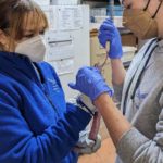western coachwhip snake being tube fed