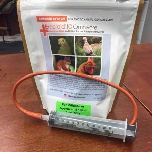 bag of EmerAid IC Omnivore with syringe and feeding tube