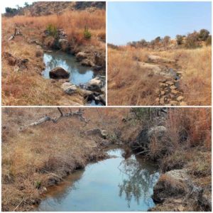 collage of three photos showing Southern African python wild habitat