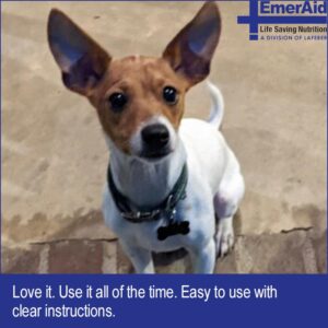 dog sitting on floor with ears perked up