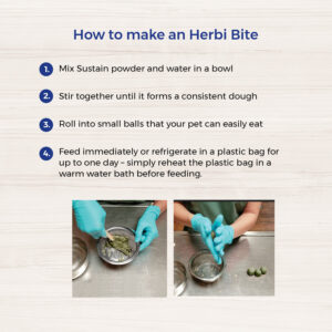 How to make Herbi-Bites